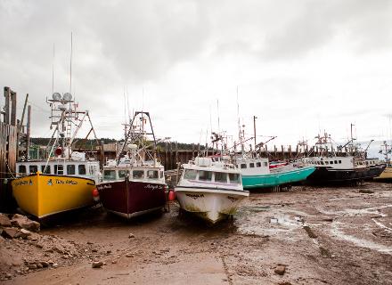 Wonders of the Bay of Fundy (7 Day with Halifax)
