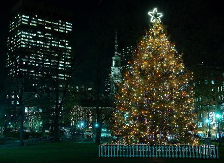 Boston Tree Lighting