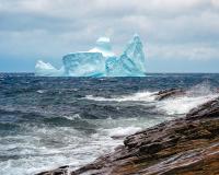 Icebergs in Newfoundland