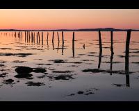 a4044a51fa349024260c2ada2e6368ce_ocean_sunset.jpg