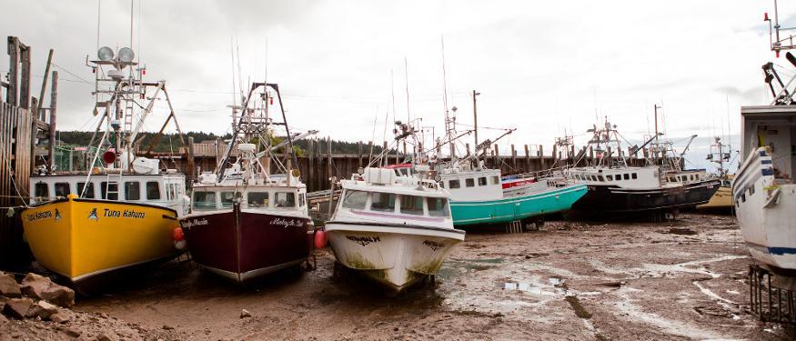 new-brunswick-alma-boats-bay-of-fundy-1.jpg
